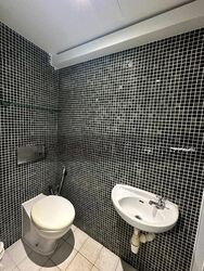 Dunearn Road (D11), Condominium #498850091